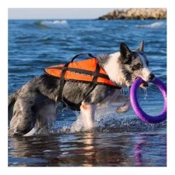 GILET CANIN ARTISTIC