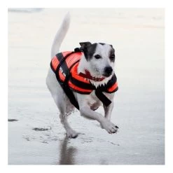 GILET CANIN ARTISTIC -Sup Aventure Soldes gilet canin artistic 3